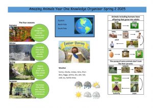 thumbnail of Year One Amazing Animals spring 2 2025 knowledge organiser (1)